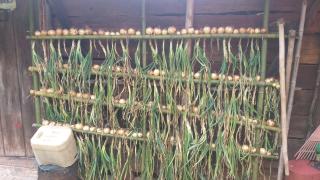 Camping luz do sol - 8