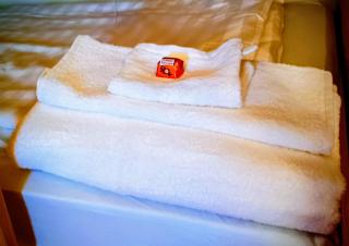 Gästehaus Stolzalpe - 6