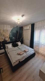 Pécs Belvárosi Green Deluxe Apartman - 7