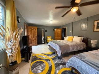 Portland Jamaica! Green and Lush! Volcano and Falls Yes! - 6