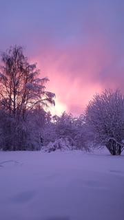 Kodinomainen majoitus Juoksenki, Napapiiri, Lappi - 9