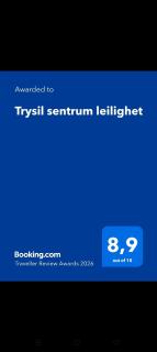 Trysil sentrum leilighet - 8