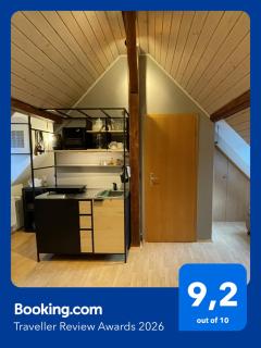 Modernes 1-Raum-Apartment - 0