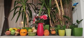 Abel Luxury Home - 2