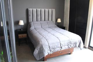 Luxury CDMX Terrace View Monument Revolution y GYM - 7