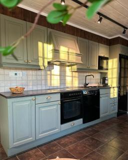 Midt i Trysilfjellet sør Ski inn og ski out - 1