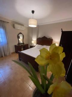 دجله المعادي - 7