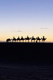 Merzouga luxe camp - 8