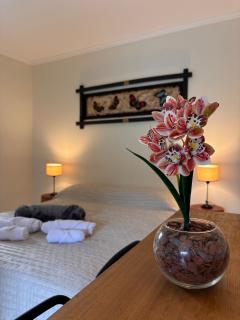 Departamentos Boutique Misiones - 7