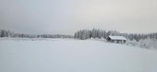 Vanha maatila maaseudun rauhassa Säyneisessä - 2