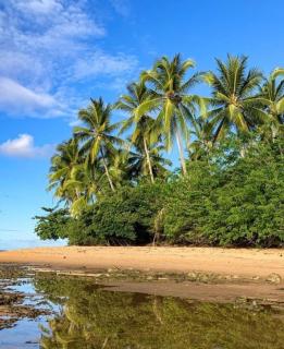 Casa Estrela do Mar - 4