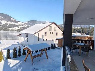 Cabana Dany Colibița - 9