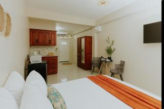 Bali-Inspired Studio Mins from Airport - 7