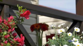 Camping Parisi - Baveno - 8