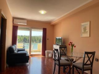 Pool view apartment with balcony in Obrovac - 0