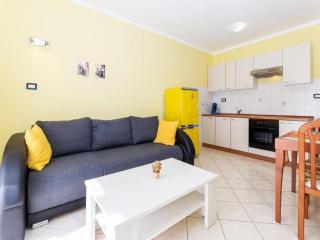 Pool-view 1-bedroom apartment in Obrovac - 0