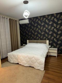 Botanic Luxury Apartment Tirana - 0