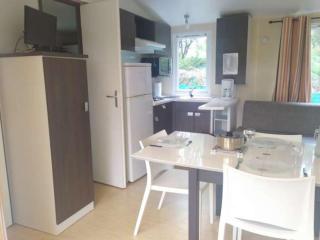 Mobil Home 26m² - 2 Chambres, Terrasse - API-1-52-1081 - 8