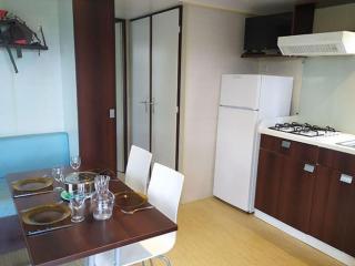 Mobil home avec terrasse pour 6 personnes, 2 chambres - API-1-52-1105 - 9