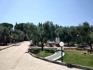 Tenuta Montincello - Vieste - 6