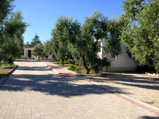 Tenuta Montincello - Vieste - 2