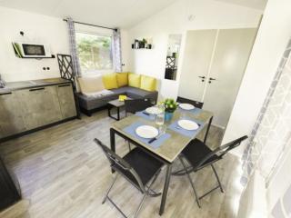Mobil home confortable avec terrasse à Saint-Coulomb - API-1-52-1276 - 7