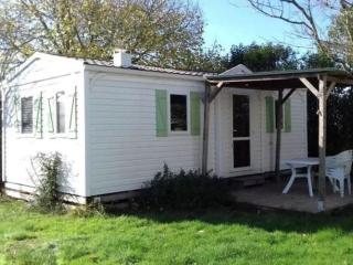 Mobil-home 2 chambres avec terrasse à Vielmur-sur-Agout - API-1-52-1324 - 0