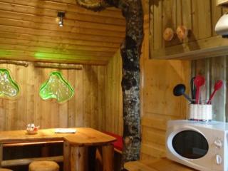 Maison de 19m² avec Terrasse à Dienné pour 4 pers. - API-1-52-1344 - 9