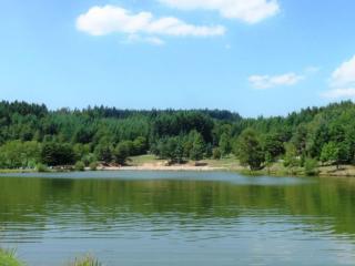 Chalet 35m², 6 pers, 3 chambres - API-1-52-1353 - 2