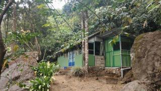 Hornbill Paradise, Munnar - 5