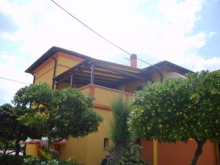 Albergo Primavera - 5