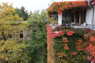 Hotel Wiener Kindl - Wenen - 4