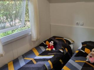 Mobil-home confortable pour 6 pers. avec terrasse près de Nibelle - API-1-52-1569 - 5