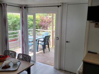 Mobil home spacieux avec terrasse à Nibelle - API-1-52-1565 - 9