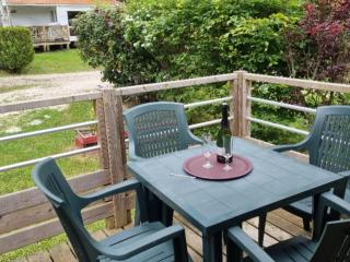 Mobil home spacieux avec terrasse à Nibelle - API-1-52-1565 - 0
