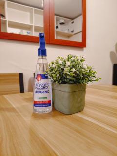 Holland Park staycation - 3