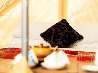 Bedouin - Ukc5929 - 4