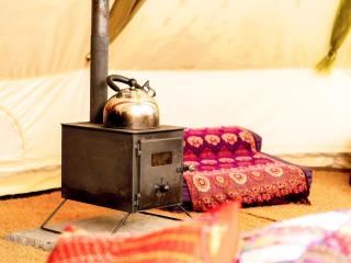 Bedouin - Ukc5929 - 2