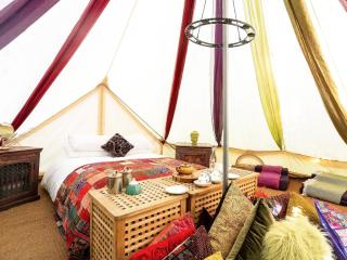 Bedouin - Ukc5929 - 7