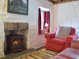 Old Dinas Arms - 9