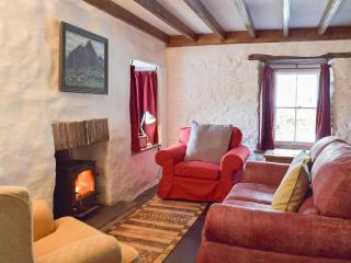 Old Dinas Arms - 8