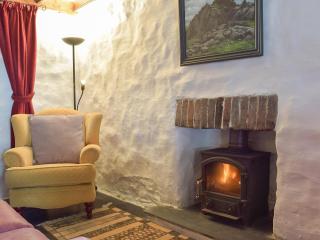 Old Dinas Arms - 7