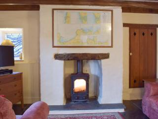 Old Dinas Arms - 6
