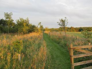 Owl Cottage High Weldon - 3