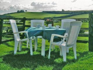 Halliday Hill Cottage - 4