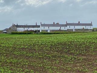 Darling Cottage - Bamburgh - 5