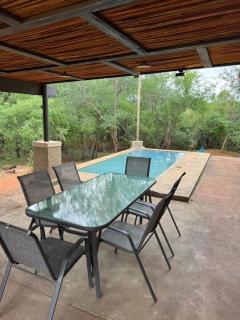 Wonderviews Hedgehog - 1