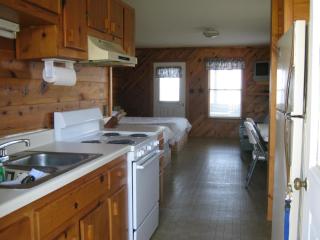 Virginia Landing Camping Resort Cabin 2 - Quinby - 4