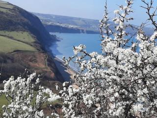 Red Kite Cottage - Rhyd Owen - 9