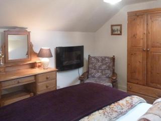 Red Kite Cottage - Rhyd Owen - 3